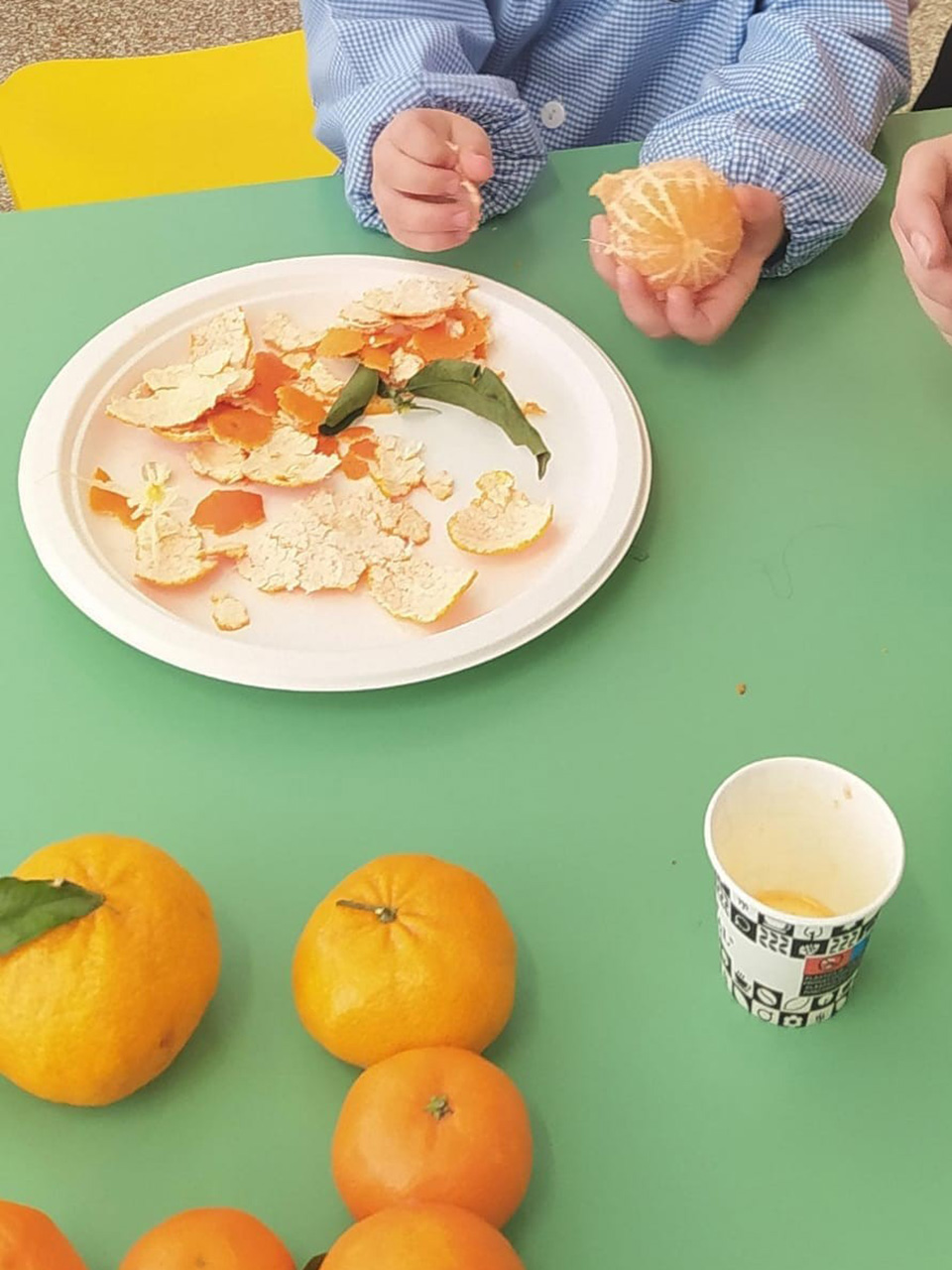 arance e piatto con spicchi di mandarino
