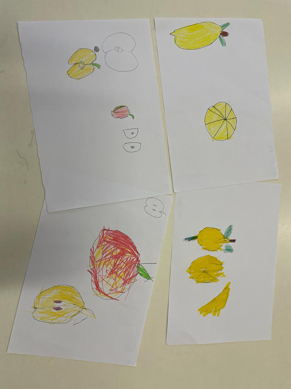 disegno creato da bambino con frutta